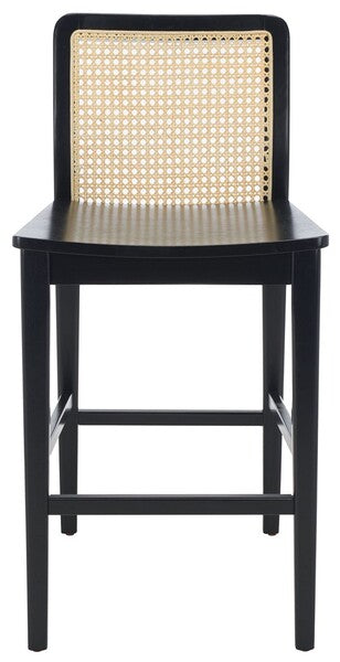 BENICIO RATTAN COUNTER STOOL - SET VON 2